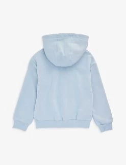 Kenzo Logo And Tiger-print Cotton-blend Hoody 4-12 Years -Kid Couture R04167571 PALEBLUE ALT02